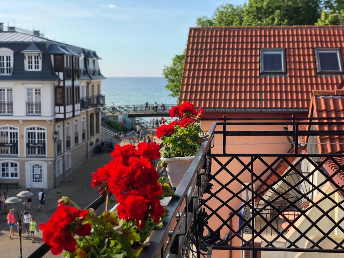 Apartamenty I Pokoje Chaton Mielno Mielno  Exteriör bild